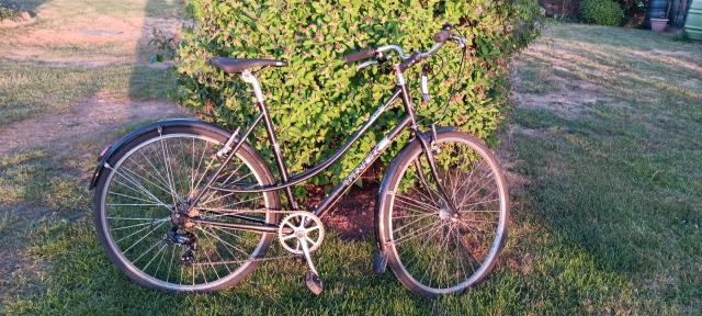 Used Trek Classic Bike For Sale in Oxford