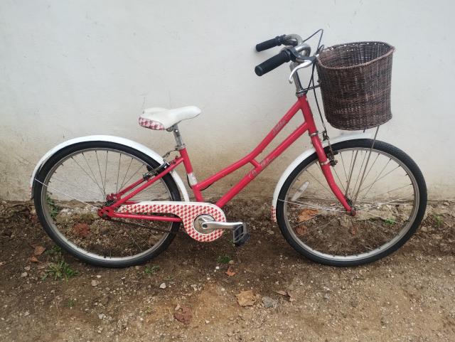 Used Pendelton Classic Bike For Sale in Oxford