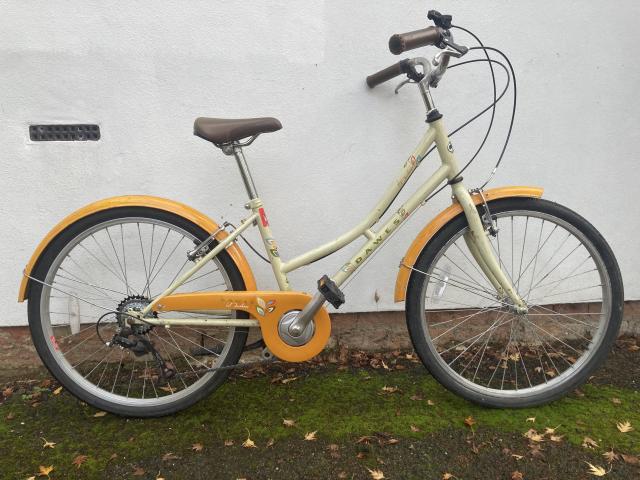 Used Dawes Childs bike Bike For Sale in Oxford