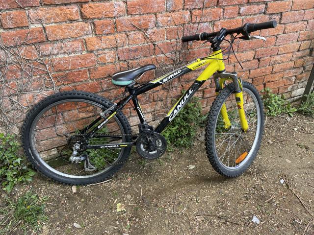 Used Canull Childs bike Bike For Sale in Oxford